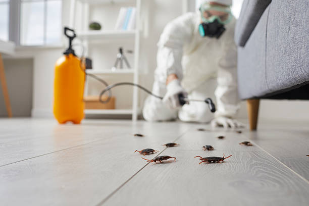 Post-Treatment Bed Bug Interceptor Monitoring in Scenic Oaks